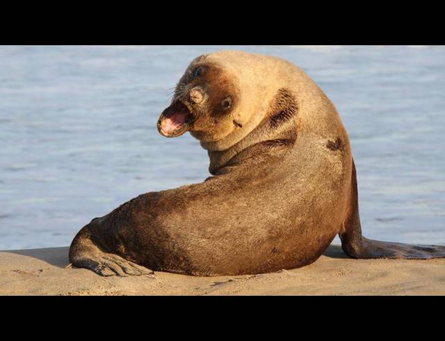 LAND FOR SALE IN DIE BAKKE